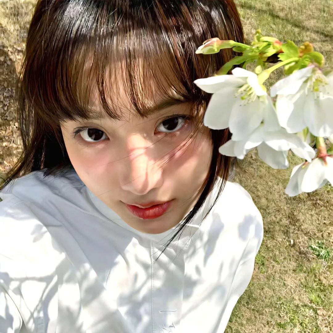 瓢虫少女第五季 在线观看